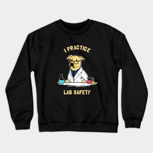 Practice Lab Safety Crewneck Sweatshirt